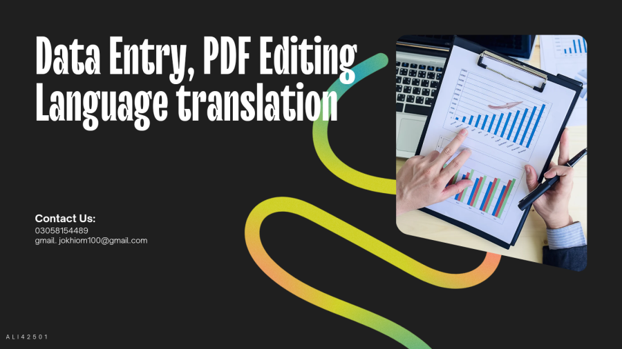 "Professional Services: Data Entry, PDF Editing, MS Office, Language Translation"