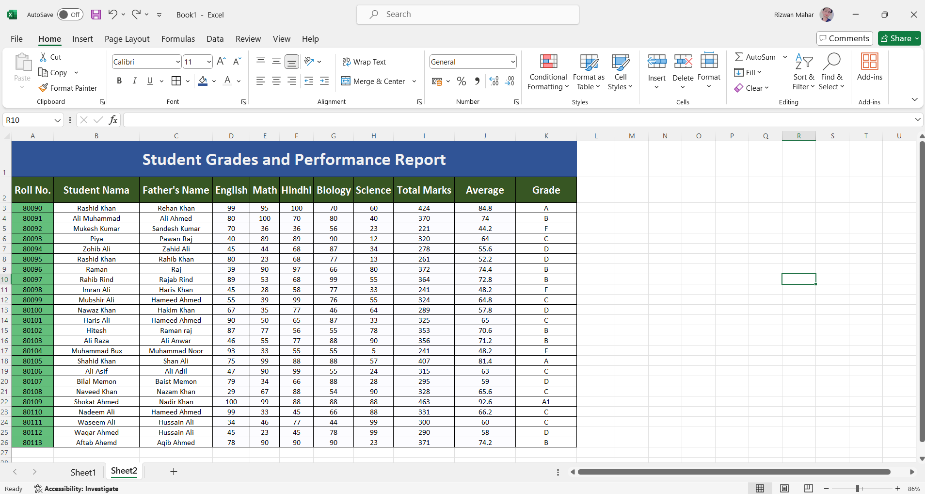 Hi, I'm Rizwan Ali, a professional data entry specialist