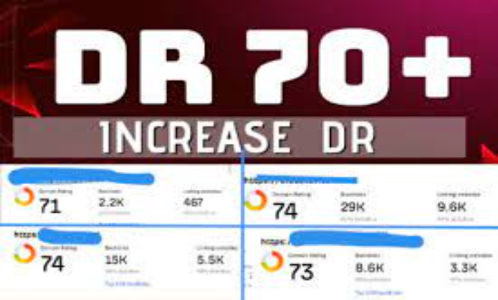 I will boost your DR to 70+ and enhance your Google rankings.