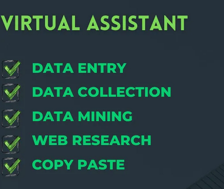 Be your virtual assistant for data entry and data collection