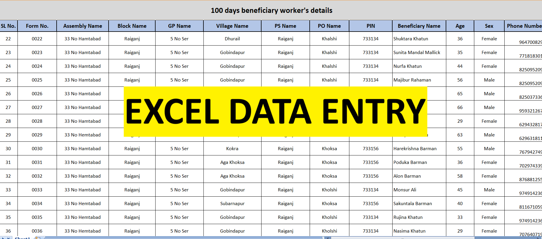 i will do professional data entry collection and photo editing work