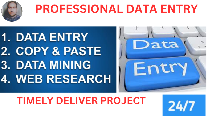 I am a data entry Expert ( Professional)