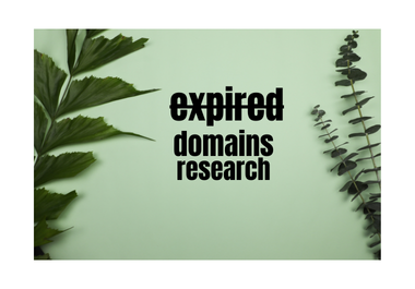 I Will do expired domain research high da-pa niche relevant with authority backlink