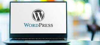 Wordpress Website Developer Expert Wordpress Web Developer for 40$