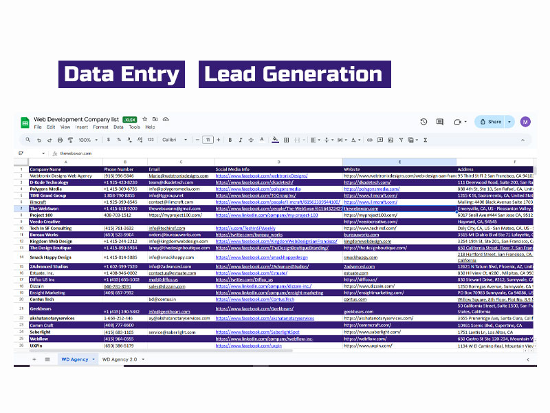 Data Entry Copy-Paste PDF to Excel Data Scraping Web Research Services in 24 hours