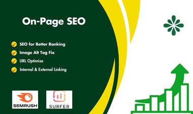 I will provide professional, best-on-page SEO optimization and expert SEO for better ranking.
