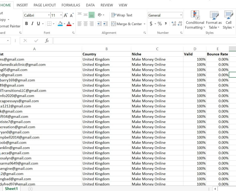 I will provide niche b2c targeted email list for any business