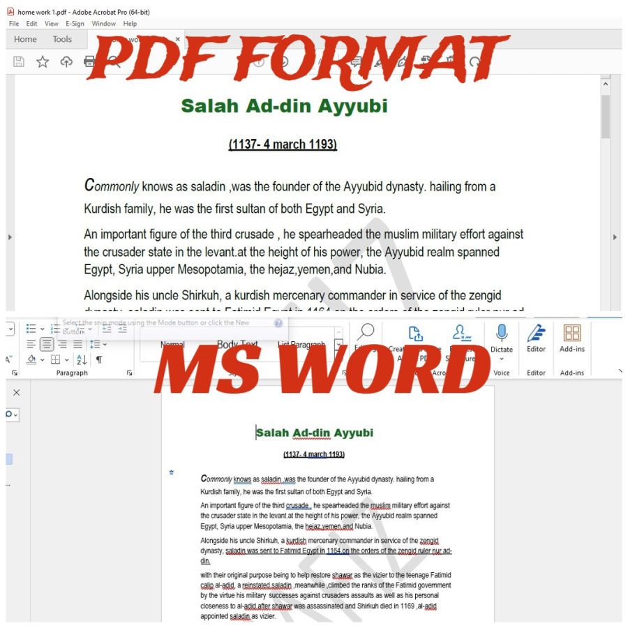 Professional PDF to Excel, Word, JPG, PNG, and Multi-Format Conversion Services