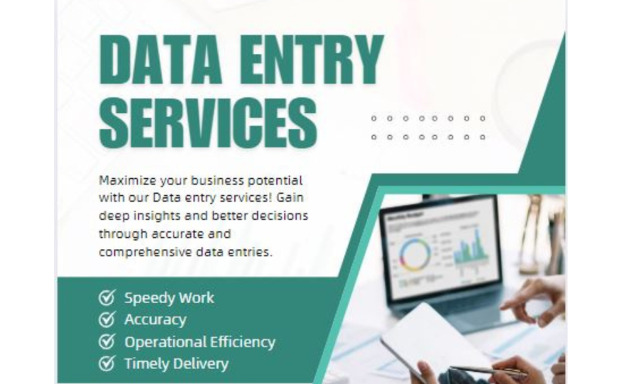i will do data entry,data typing, copy paste work