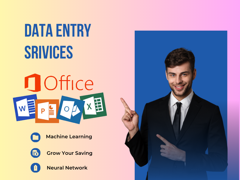 I will do data entry on excel,sheets or other ms office software