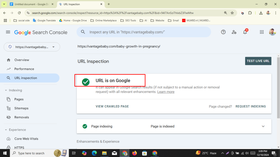 I will do technical SEO problems solve