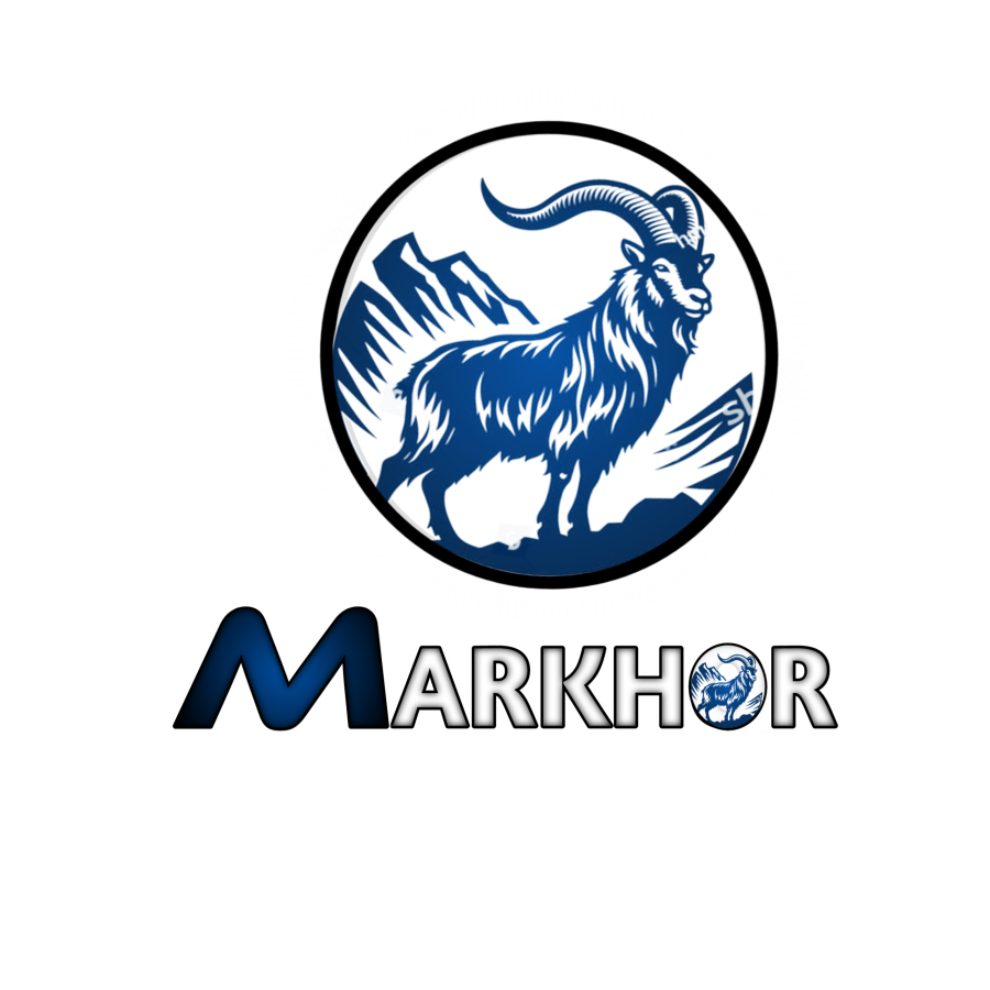 I will customize unique Logo design 