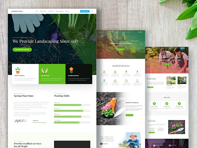 Professional Wix Website Design and Customization Service