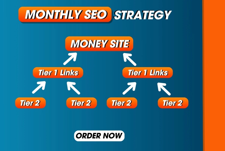 I will do Monthly SEO service with high quality off page 300 backlinks link building