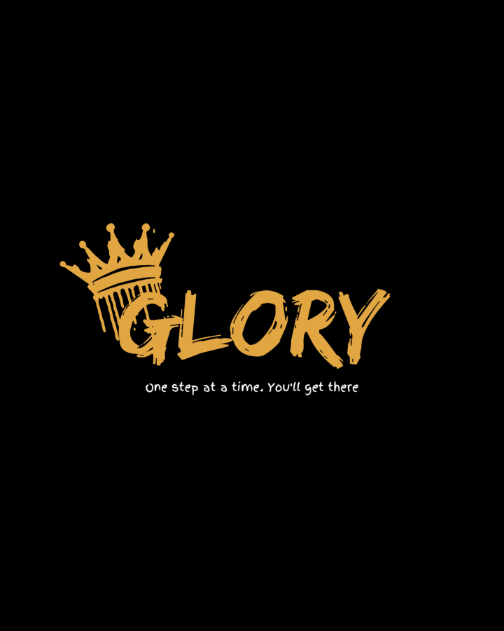  I make a professional Logo and Graphics designing 