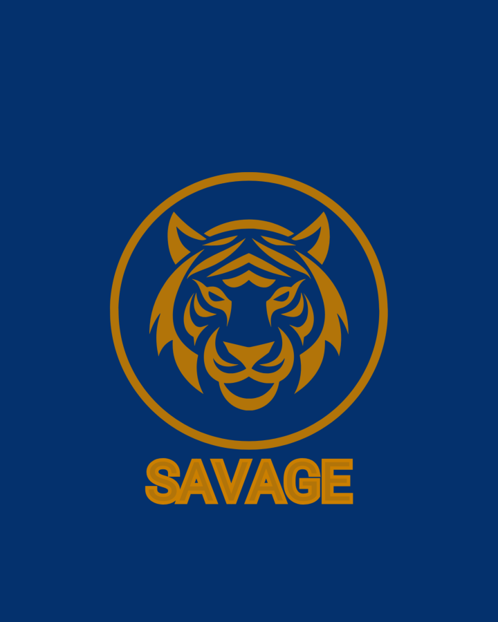 I make a professional Logo and Graphics designing 