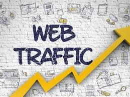 Drive 300 premium quality web traffic to your website
