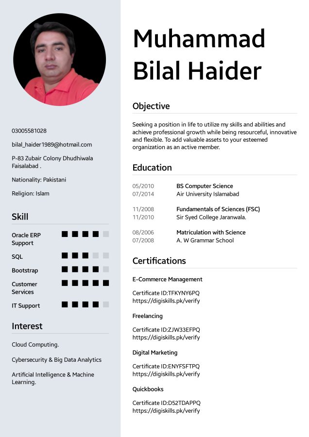 Professional Resume PDFs Stand Out Online & Impress Employers!