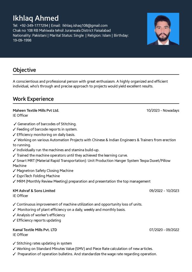 Professional Resume PDFs Stand Out Online & Impress Employers!