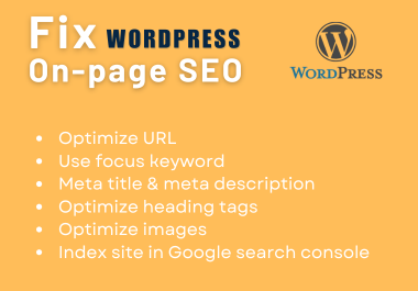 I will do On-page SEO for your WordPress posts & pages including website audit