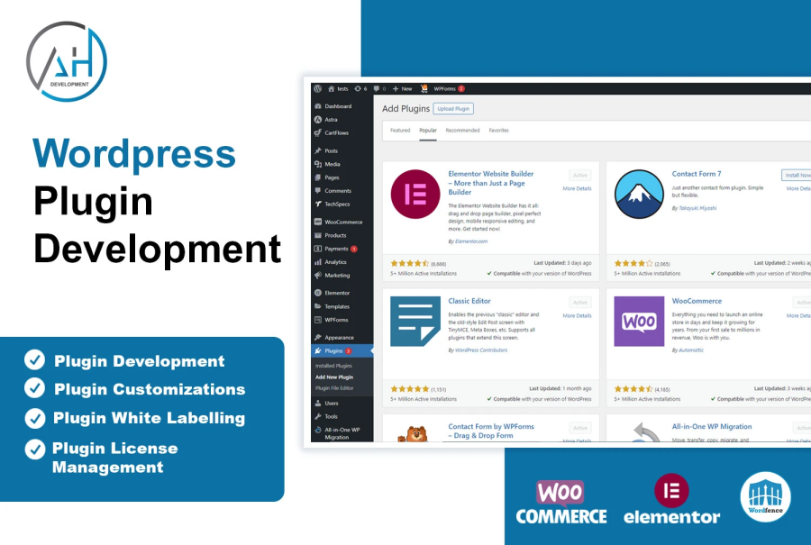 I will develop a custom wordpress plugin as well as for woocommerce