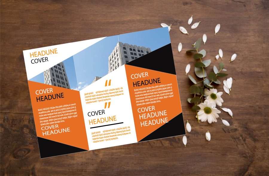 I will design a professional brochure for your business.