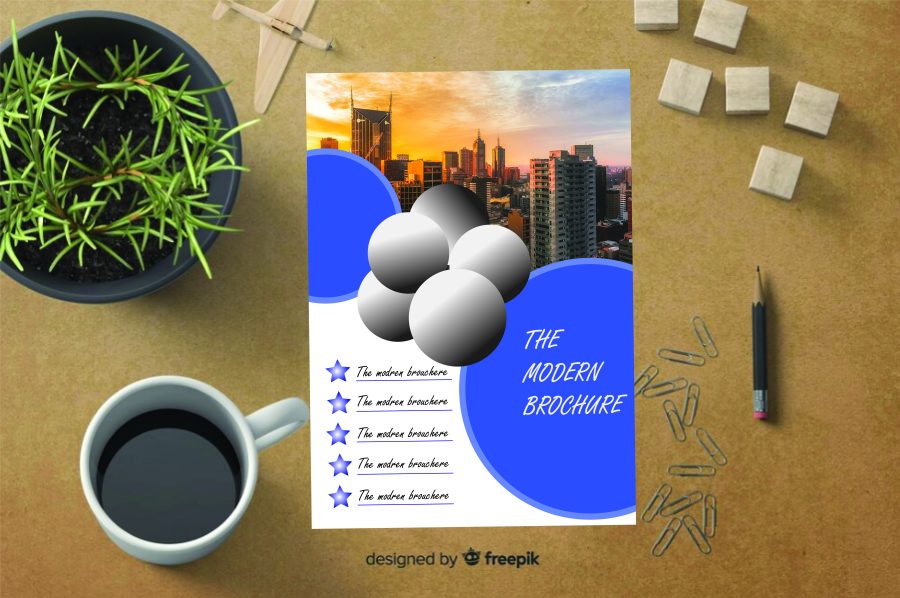 I will design a professional brochure for your business.