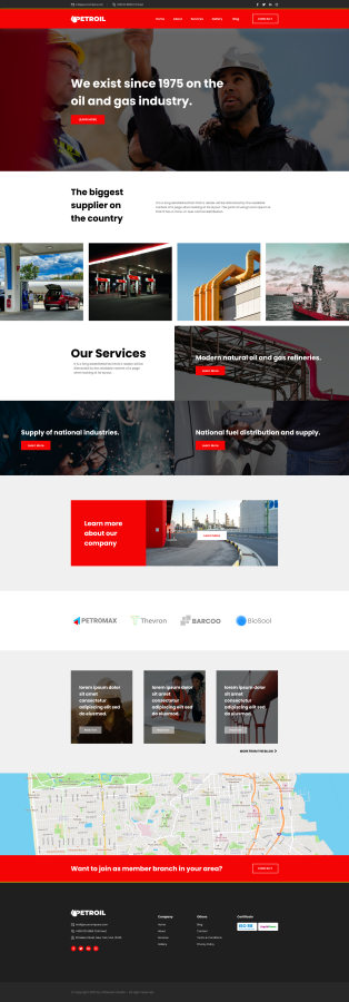 I Will Design, Develop, and Customize a WordPress Site for You