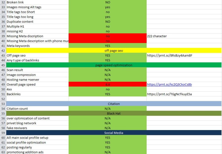 I will do SEO audit report, competitor website analysis and video review