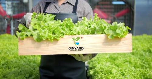 business Brand identity design service 