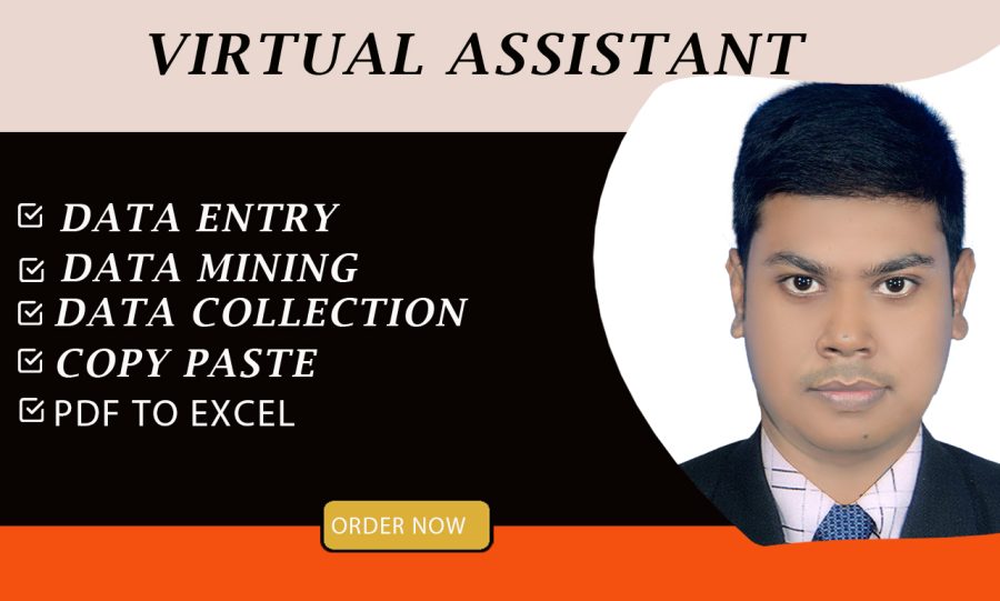I will be your virtual assistant for data entry, data collection, copy paste, data conversion