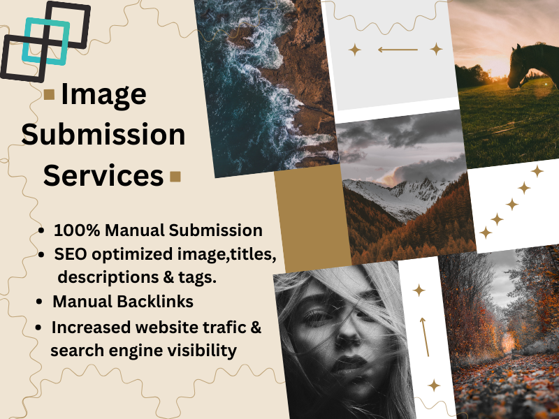 i will provide 50 image submission backlinks for Ranking websites