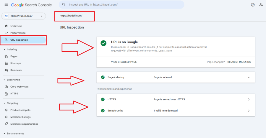Boost Rankings with a Skilled SEO Web Developer