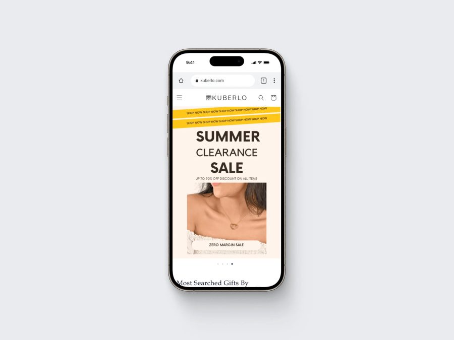 Shopify and Wordpress Website Homepage Design