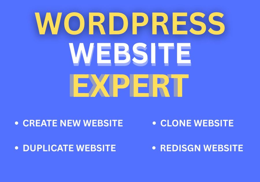 I Will Design, ReDesign, Revamp or Clone WordPress Website or Blog