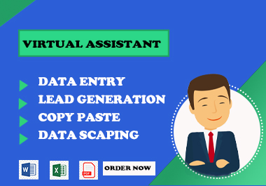 I will do Data Entry, Copy paste, Data scraping and web research
