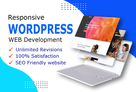 I will build a responsive and professional WordPress website design