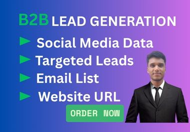 I will generate B2B targeted leads with verified contact information and e-mail list building