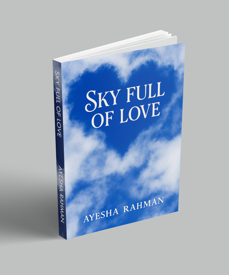 I will do book cover, e book cover,kindle book cover design