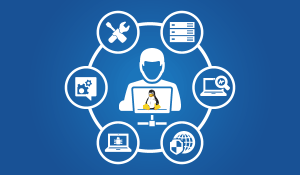 Fast Linux Setup, Control Panel Install & Server Care