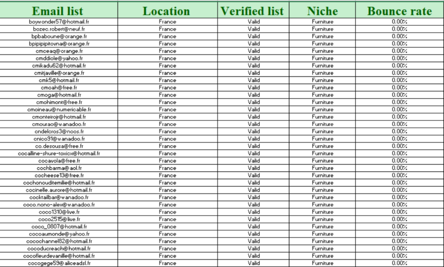 High Quality France 4k B2B & 450k B2C Targeted Email List by Niche