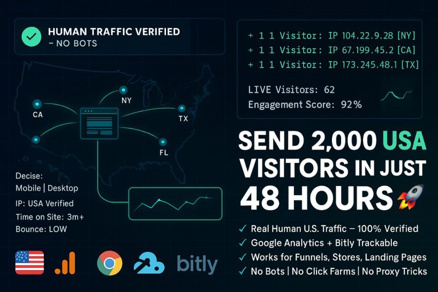 I will send 2000 real human USA website traffic visitors in 48 hours