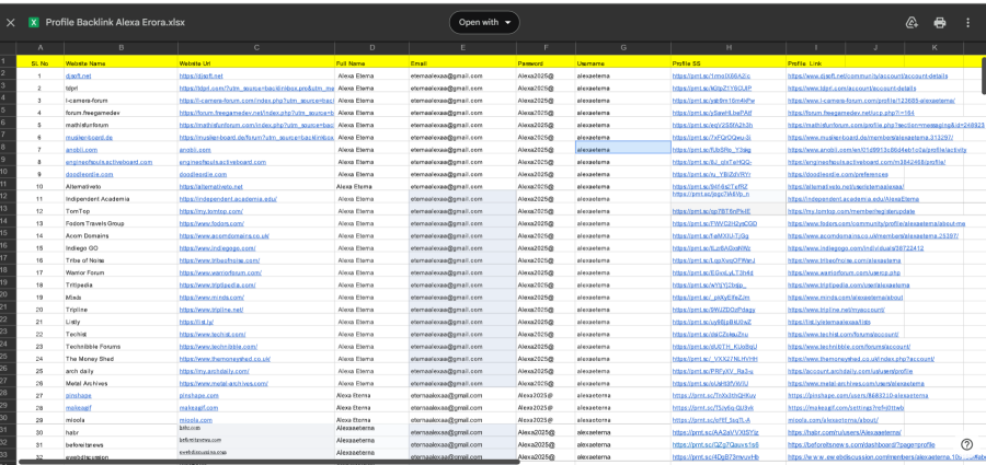 High Quality indexable profile backline service for your website ranking.