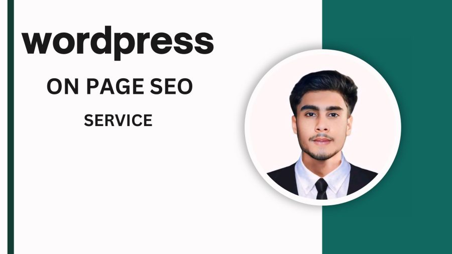 I will expert wordpress on page SEO for traffic growth