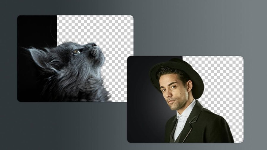 Professionally background removal service from Images . 50 Images.