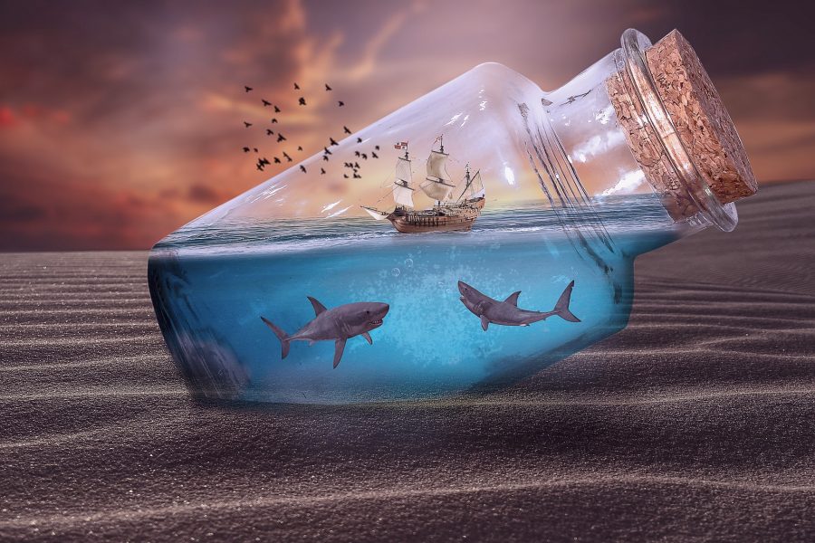 I will do Photo editing, Photo manipulation, clipping mask and photo retouch