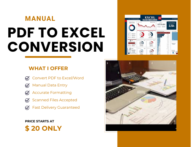 I will convert PDF to Excel manually with accuracy