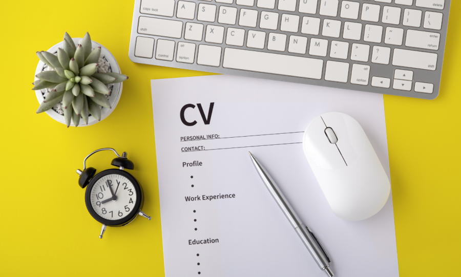 I will create a professional and modern CV/Resume for you