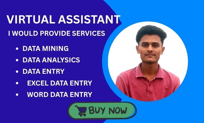 ???? Expert Virtual Assistant for Data Entry