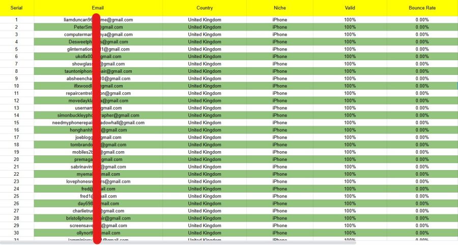 I will provide you niche targeted verified bulk email list for your business